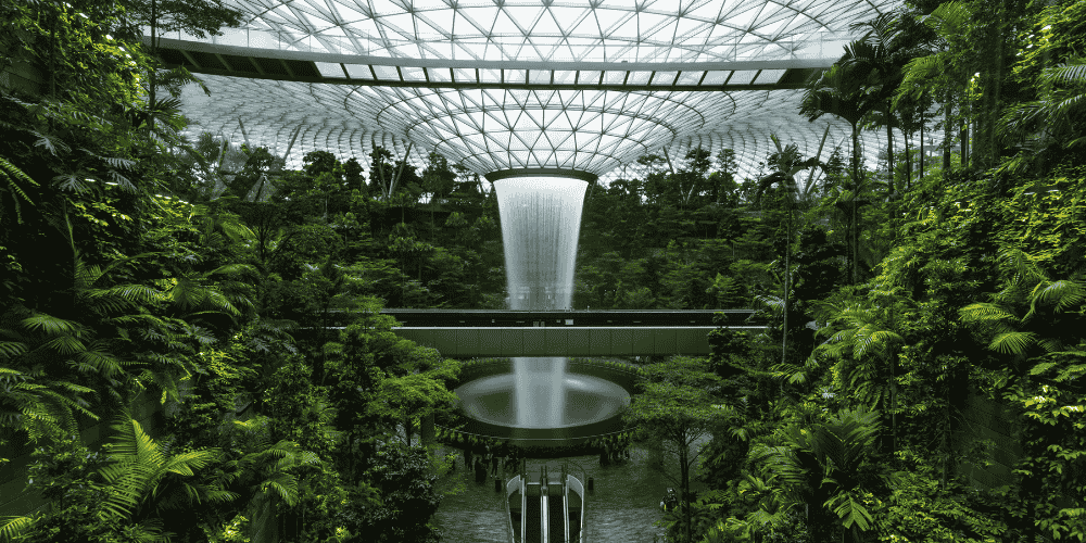 Beautiful and Relaxing Layovers at Singapore Airport