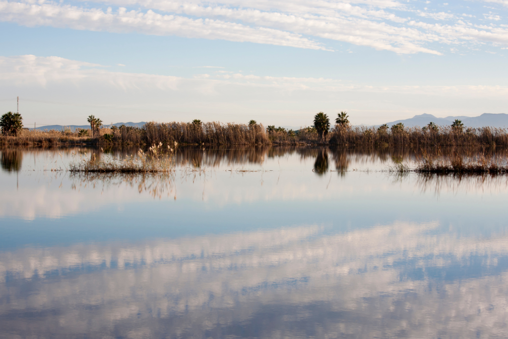 The wetlands at Albufera Natural Park